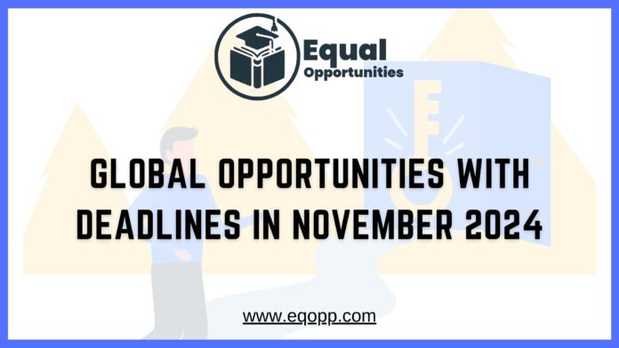 Global Opportunities with Deadlines in November 2024